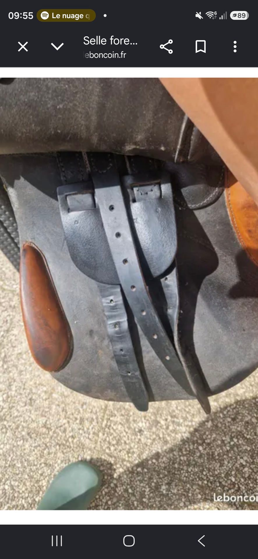 Selle mixte 17 pouces, média 2