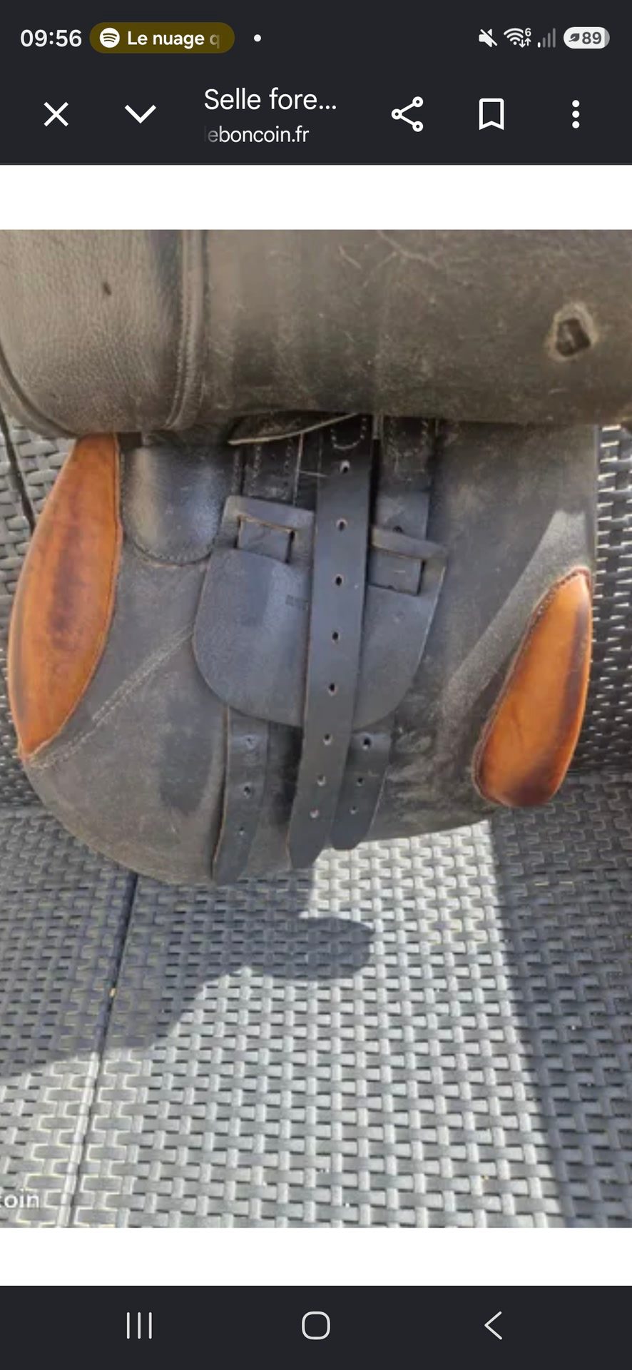 Selle mixte 17 pouces, média 3