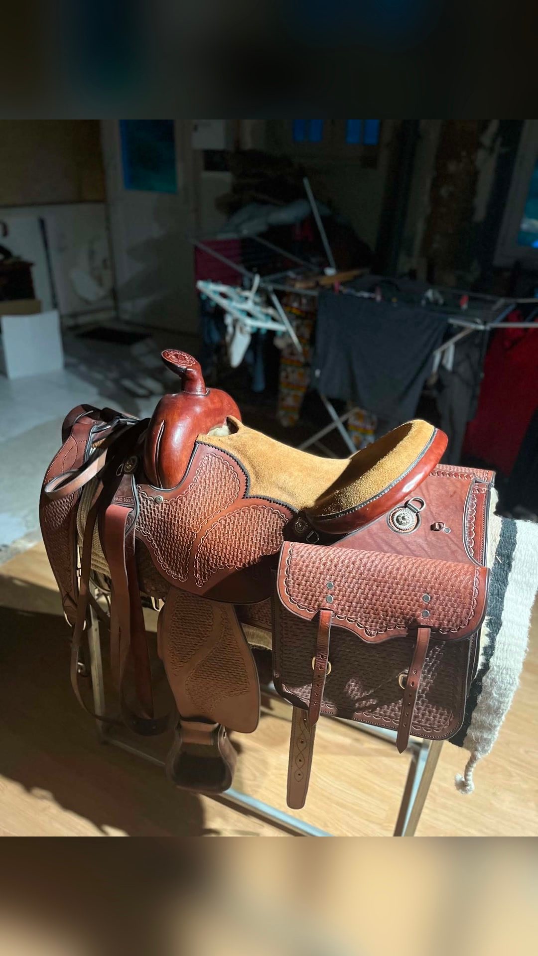 Selle Australienne, média 2