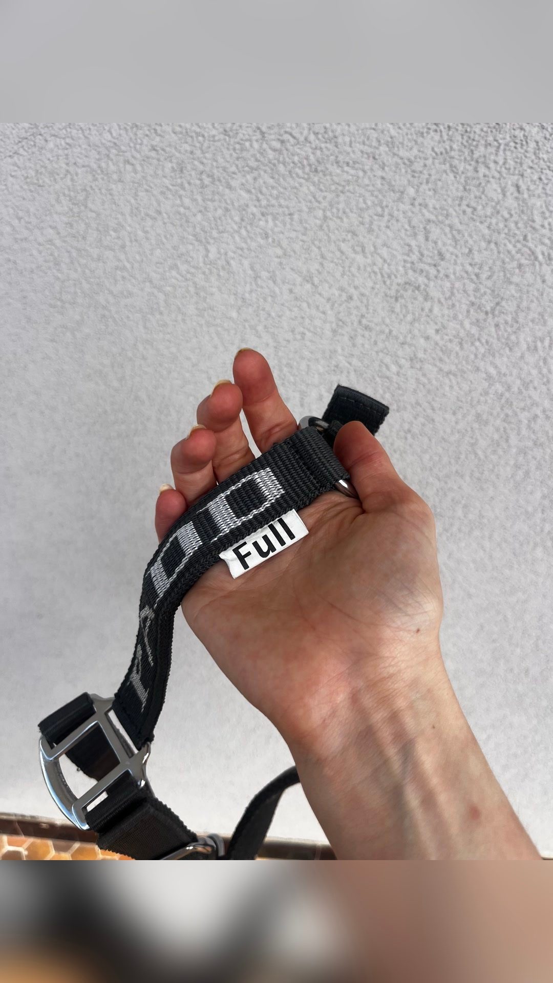 Licol PADD gris, média 4