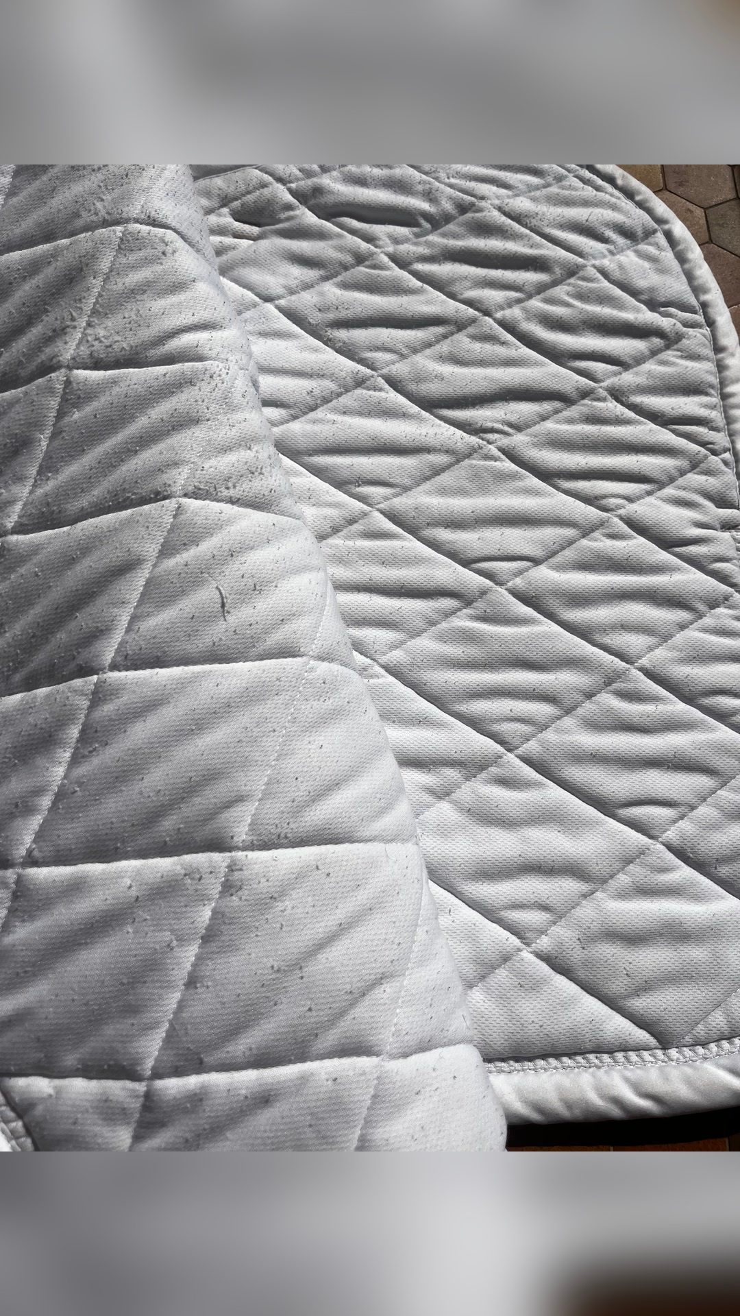 Tapis blanc - EQUITHEME, média 3