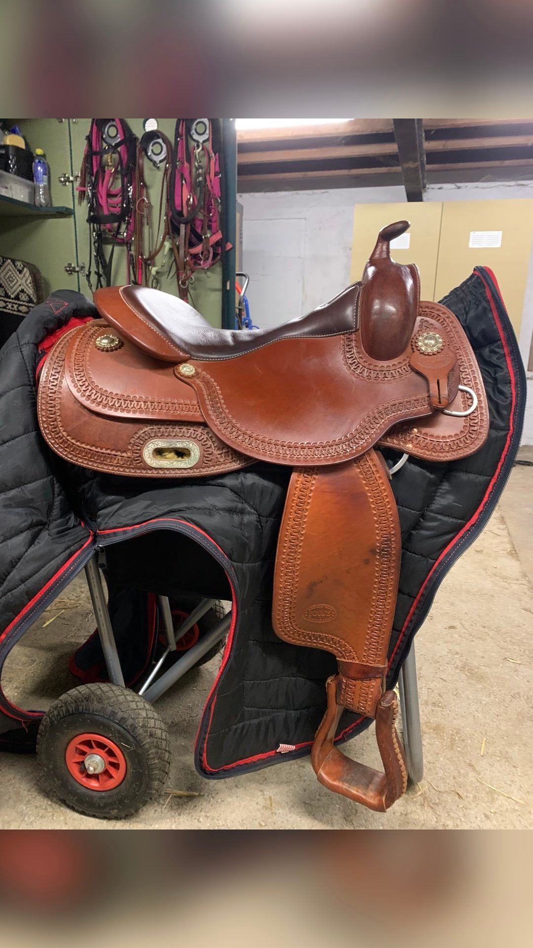 Selle Western, média 8