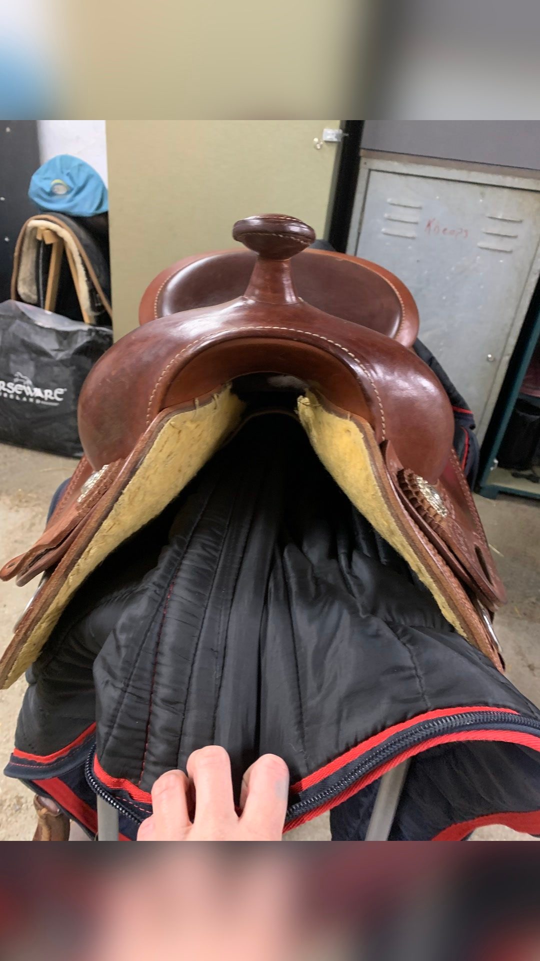 Selle Western, média 7