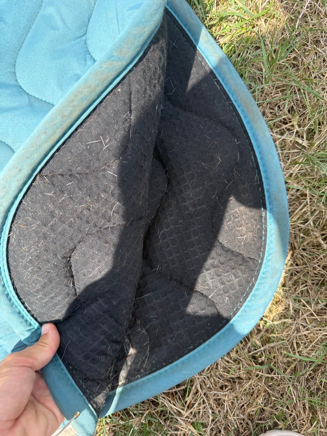 tapis harcour, média 3