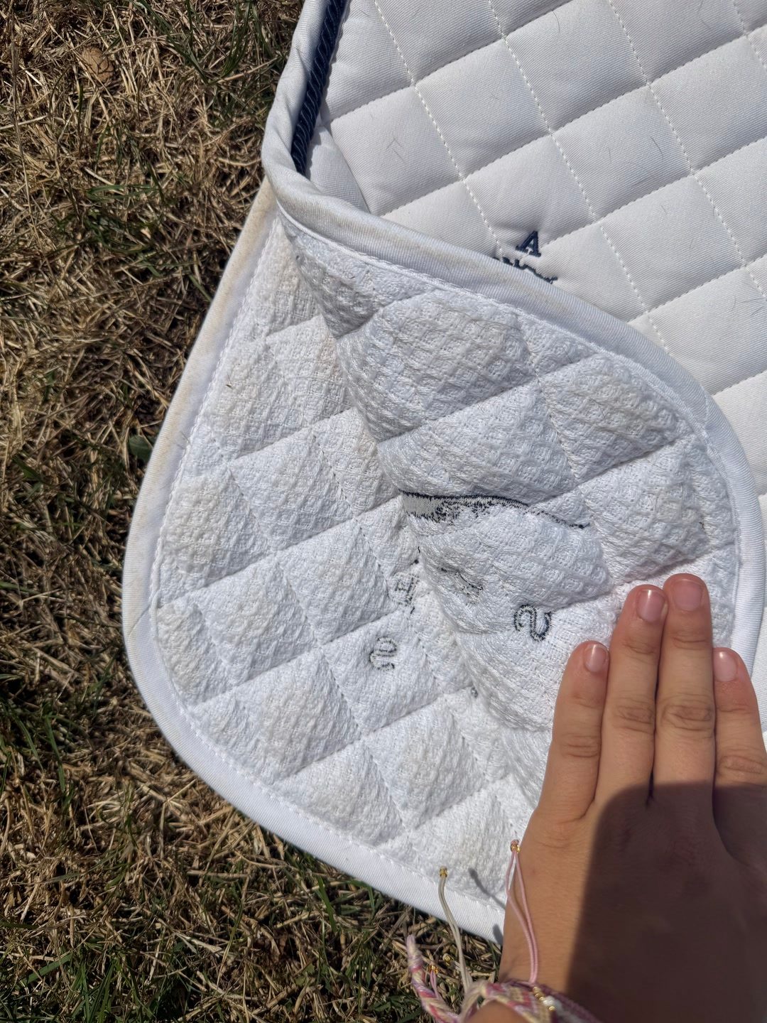 tapis antares, média 3