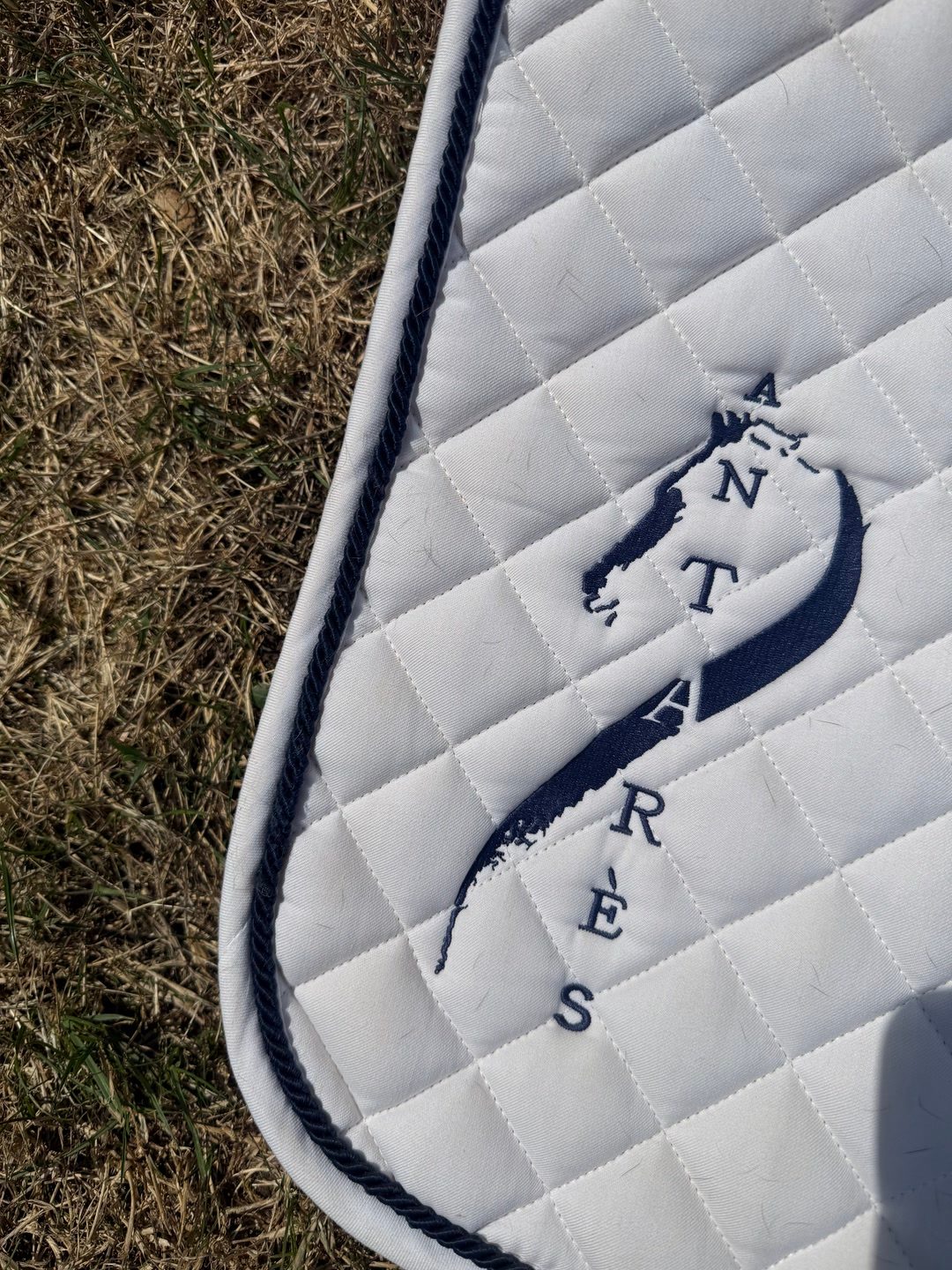 tapis antares, média 2