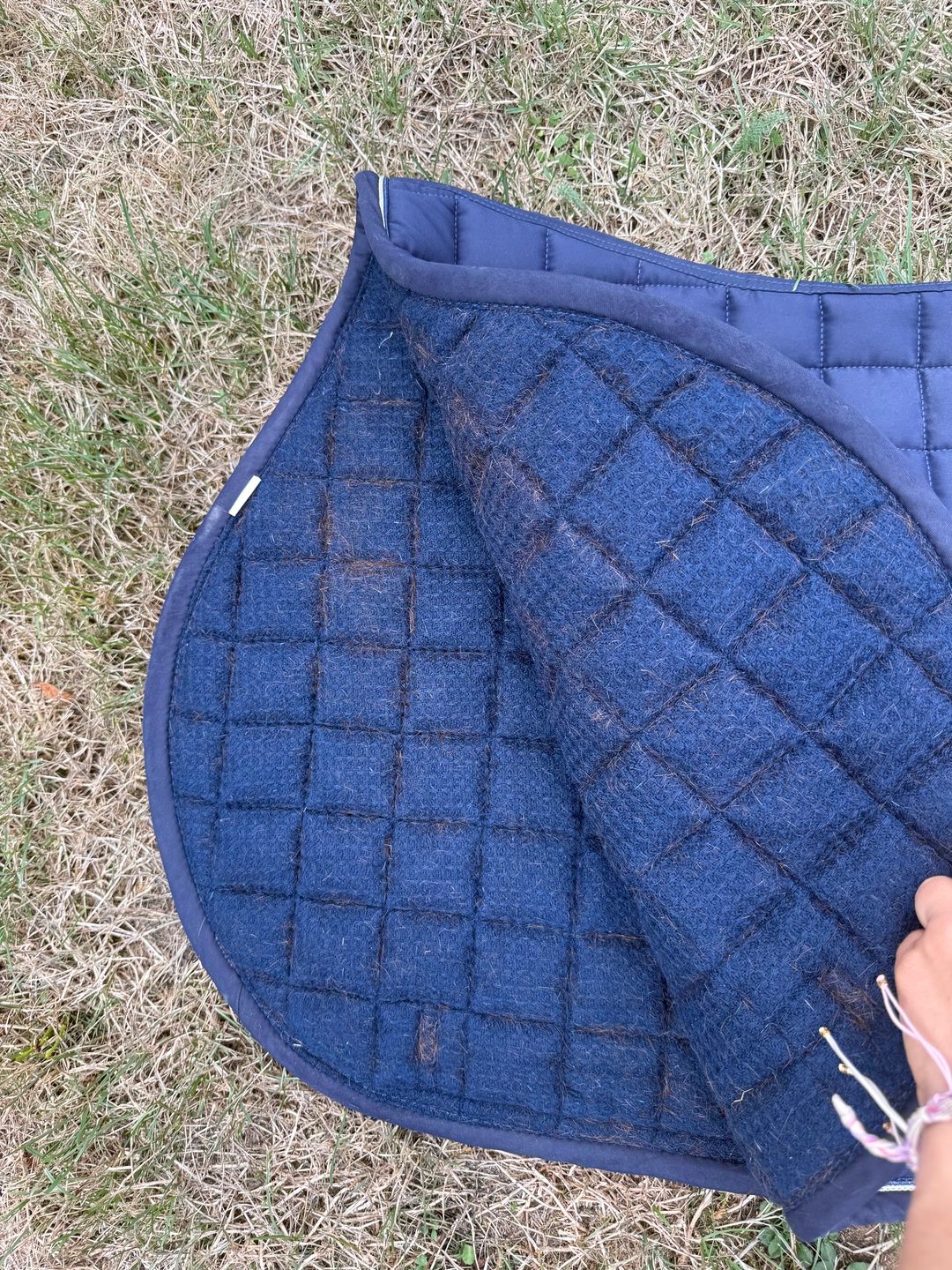tapis antares, média 3