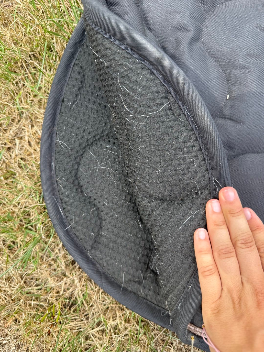 tapis pénélope, média 3