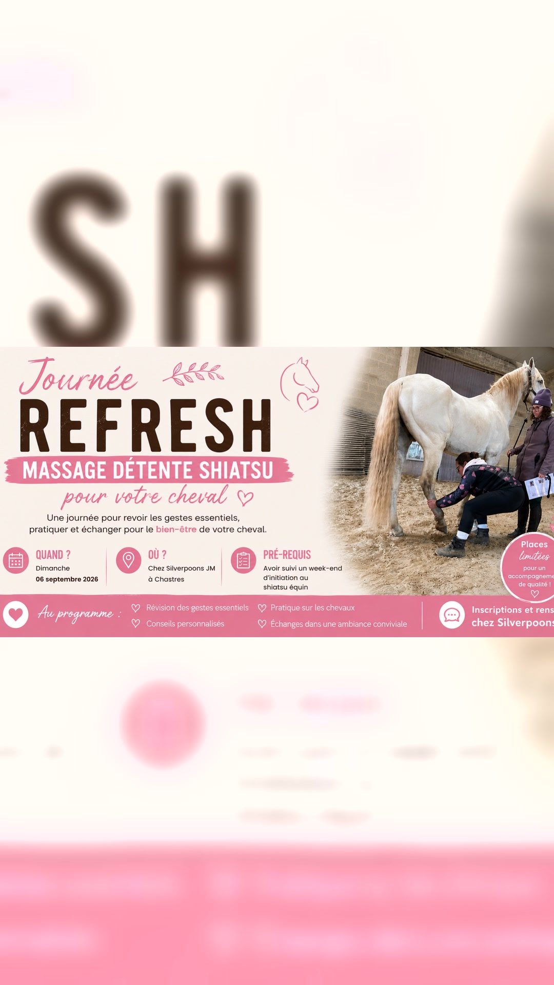 REFRESH MASSAGE DÉTENTE SHIATSU, média 3