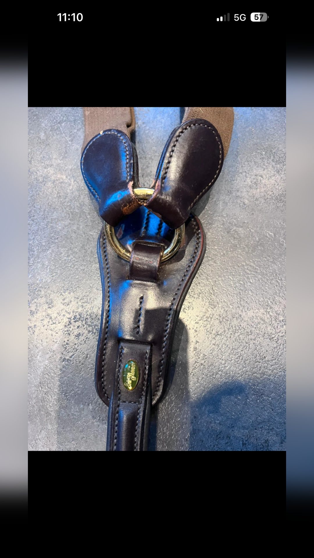 Collier de chasse et martingale, média 2