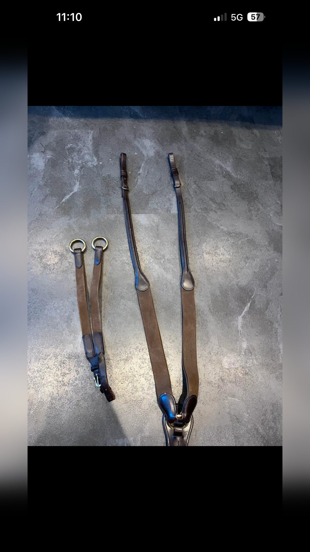 Collier de chasse et martingale, média 3