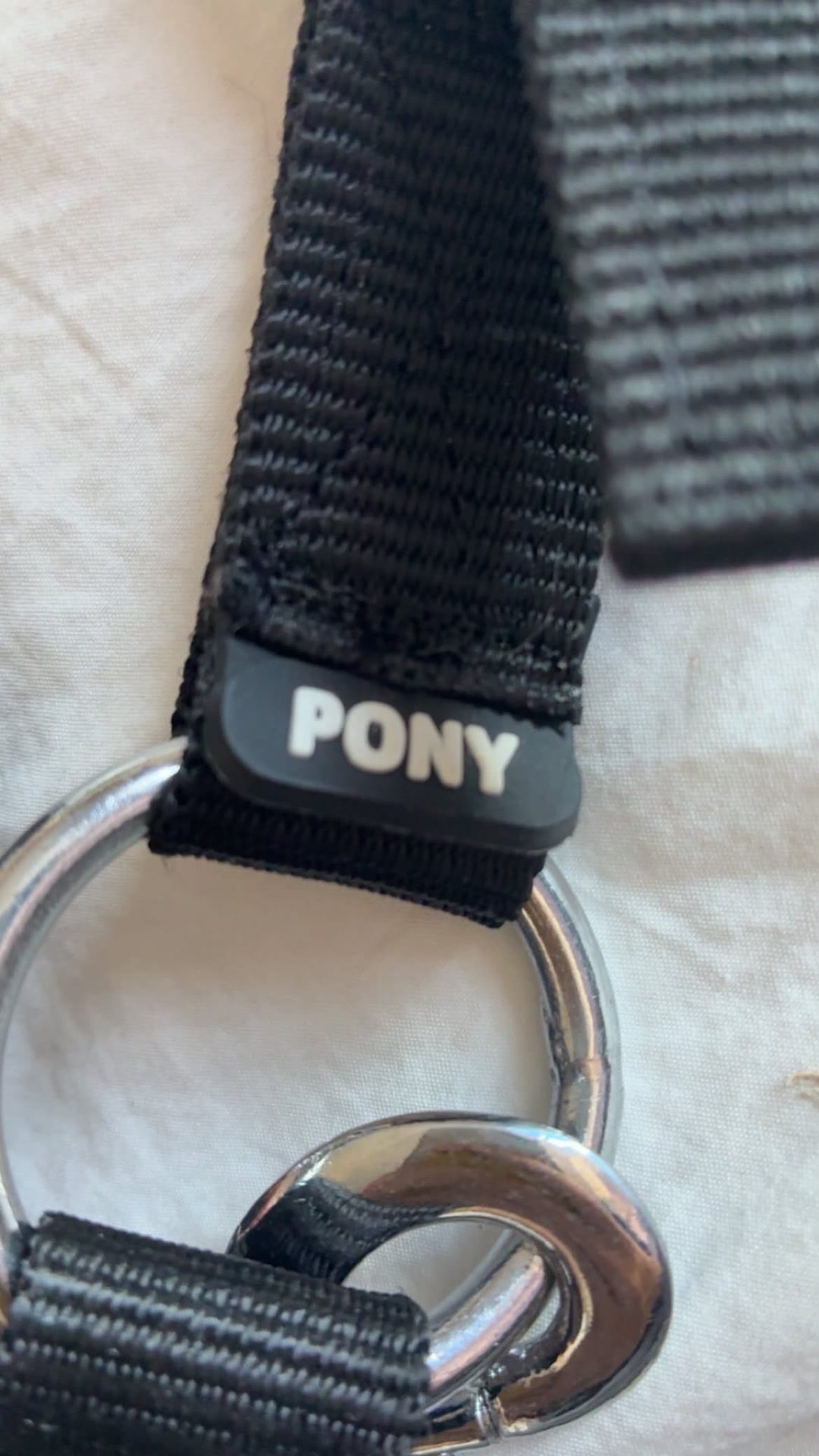 Licol noir poney, média 2