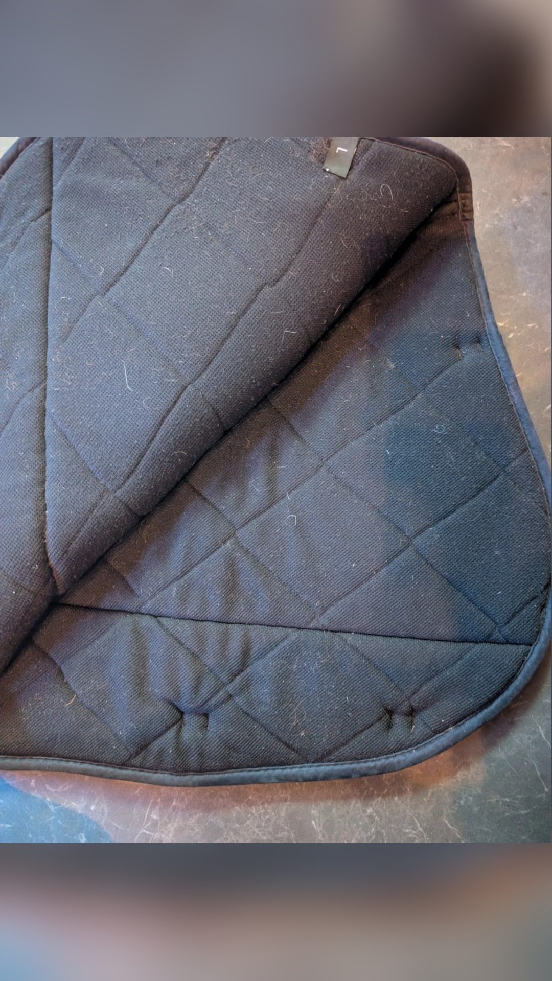 Tapis rose mixte Eurostar, média 2