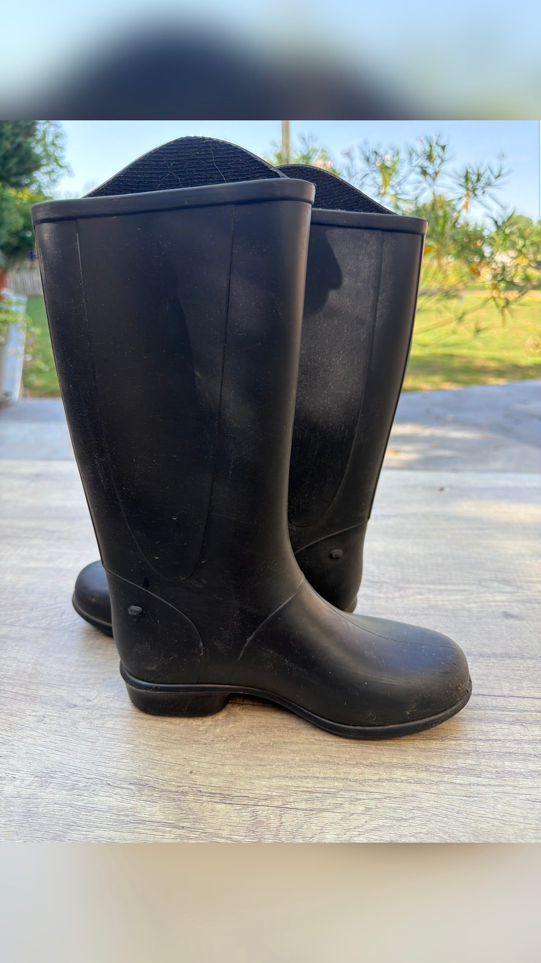 Botte équitation, média 2