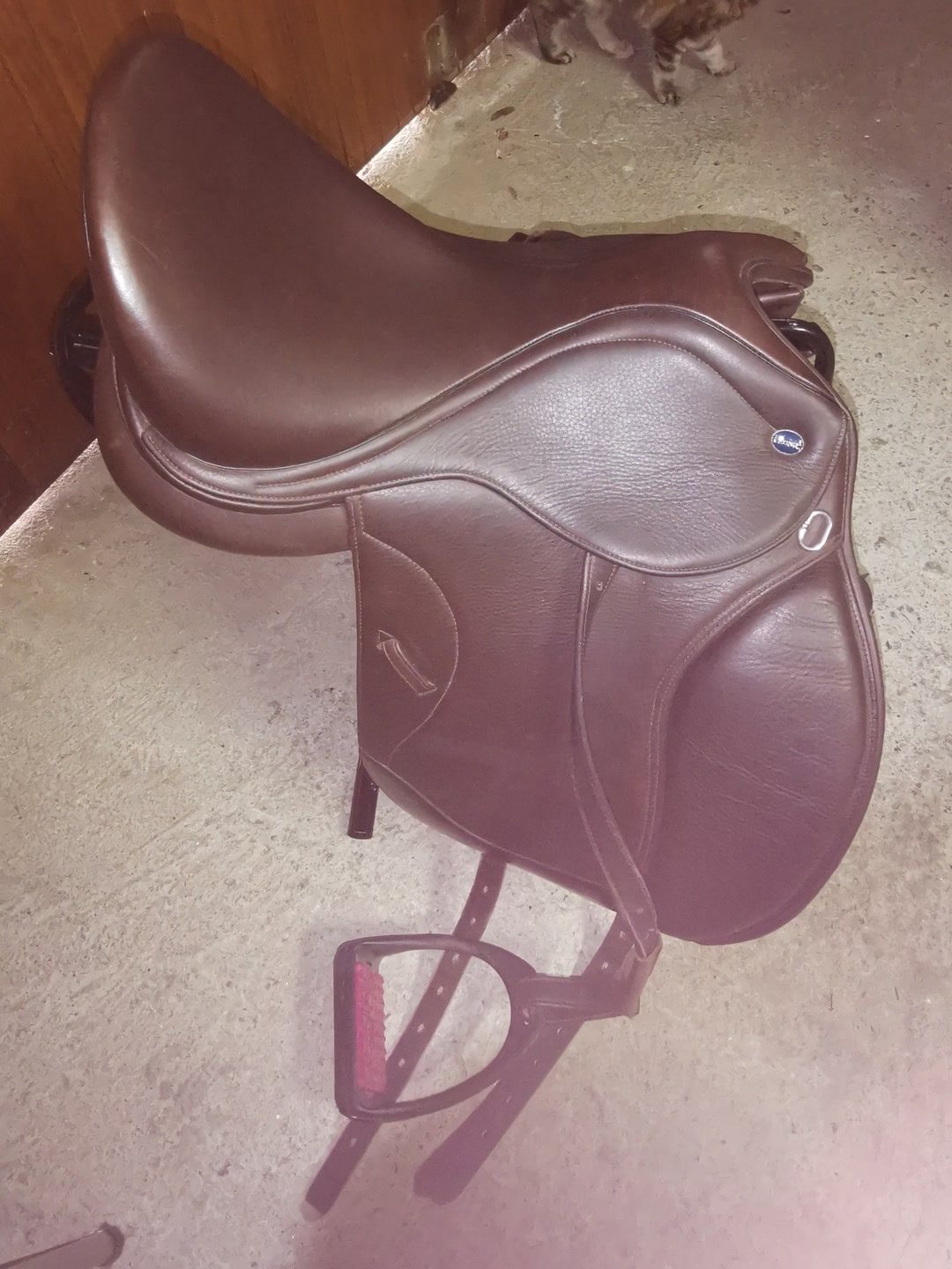 Selle ikonic Light havane, média 2