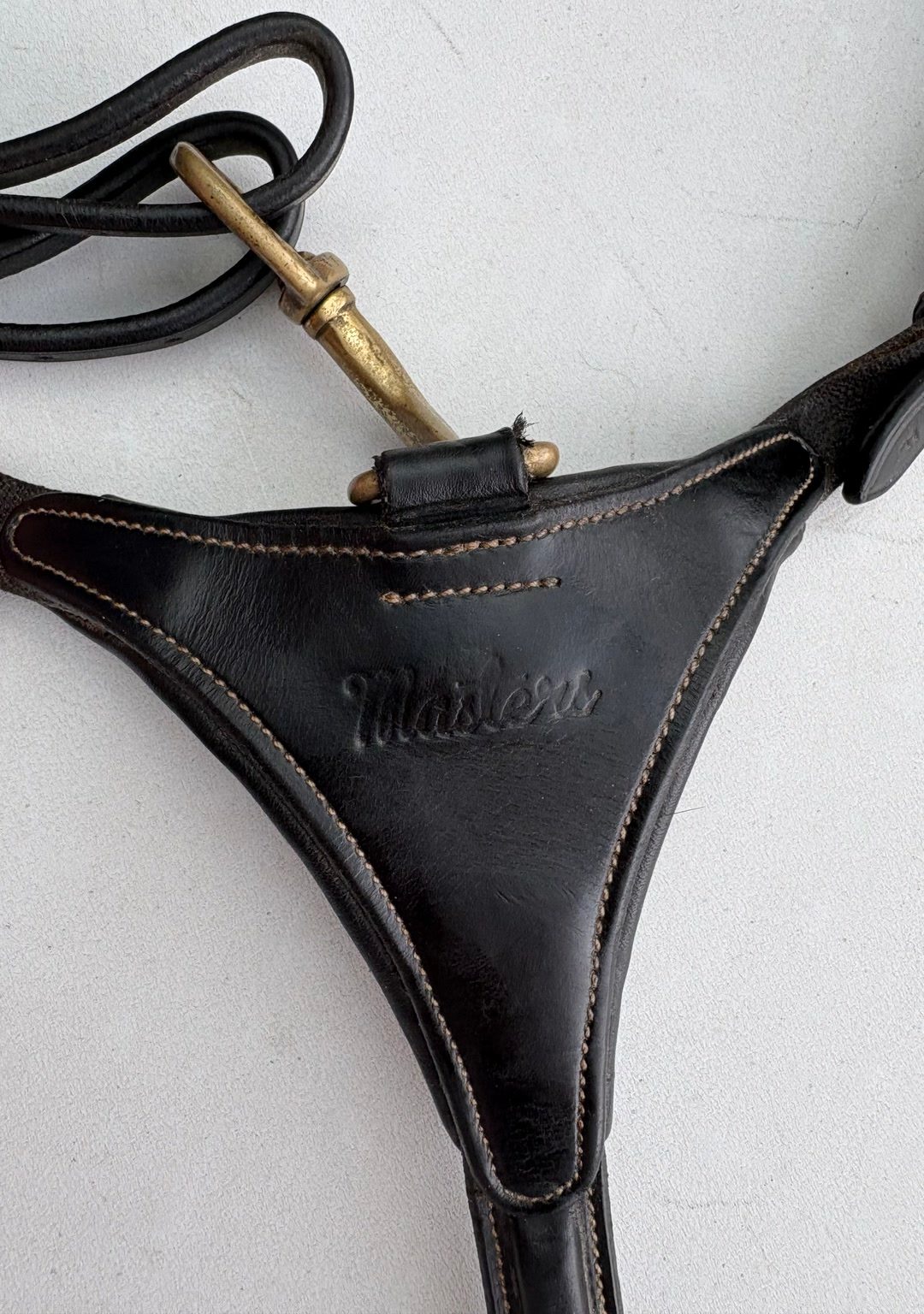 Collier de chasse master, média 2