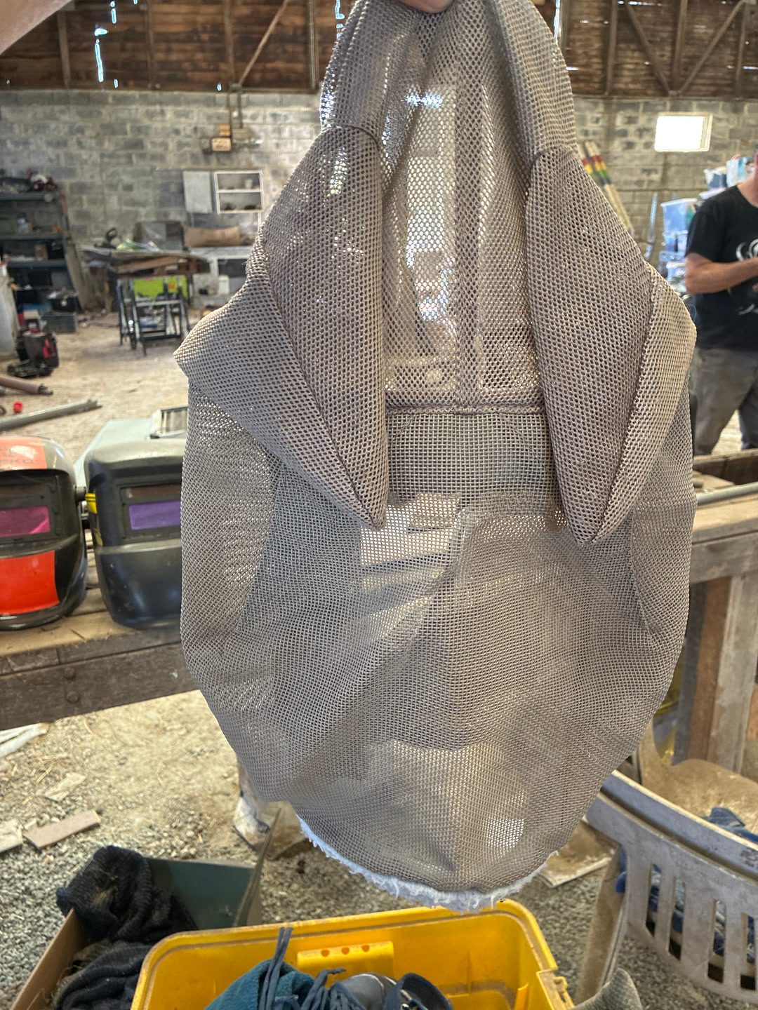 Masque à mouche, média 3