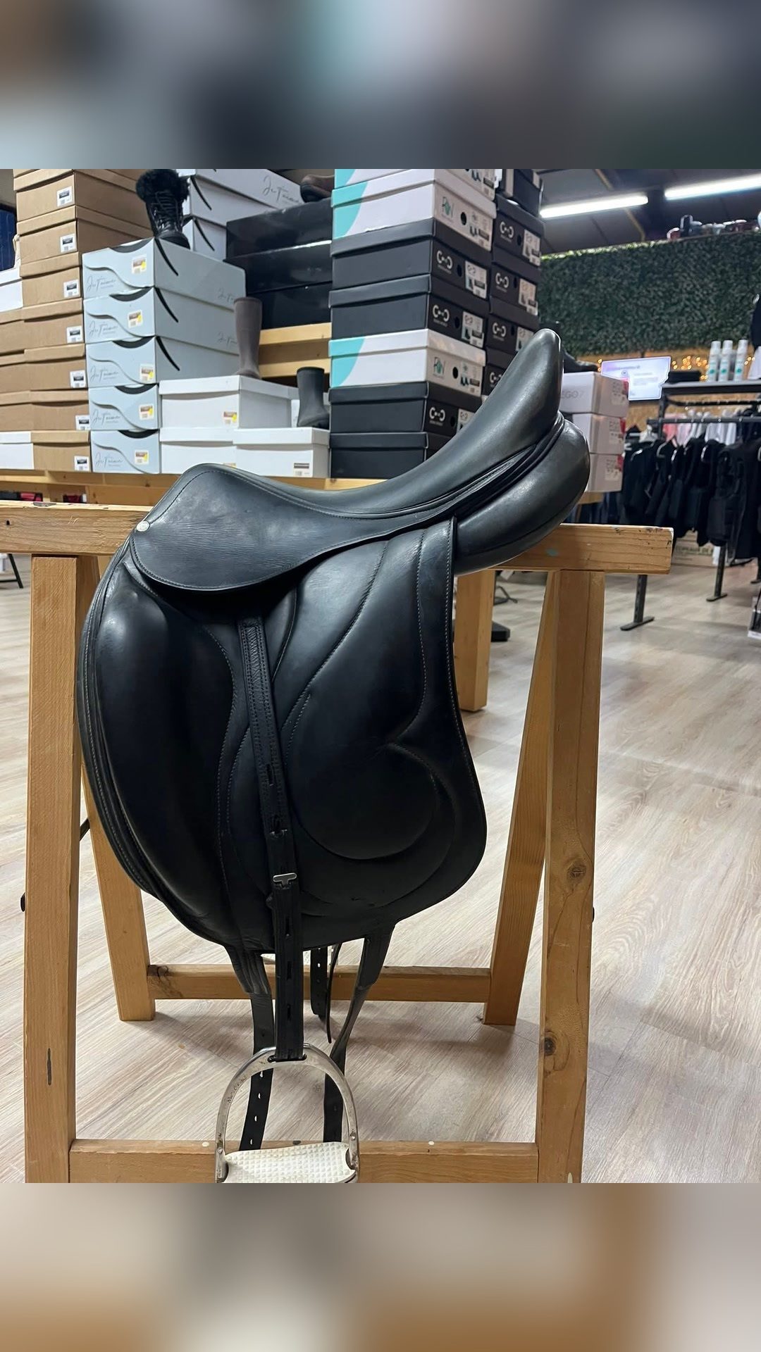 Selle dressage Antares, média 2