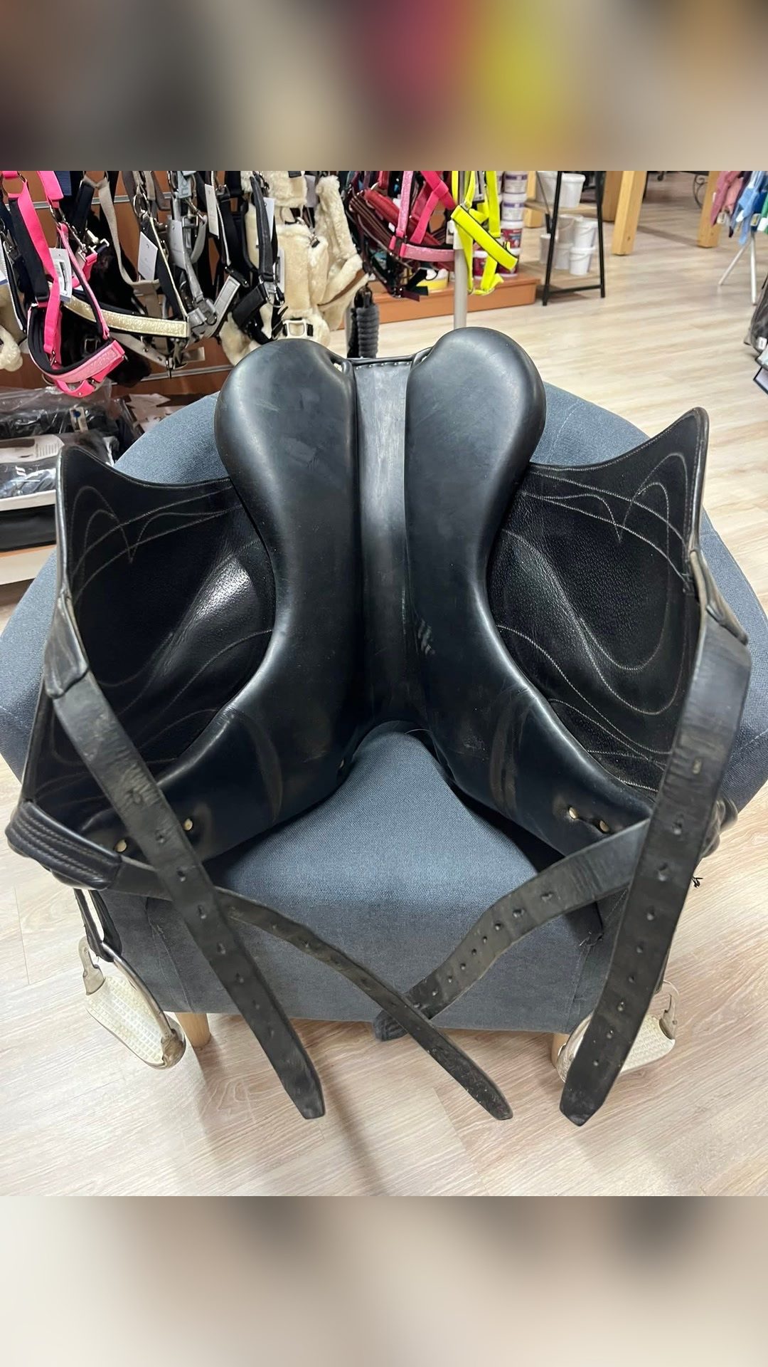 Selle dressage Antares, média 3