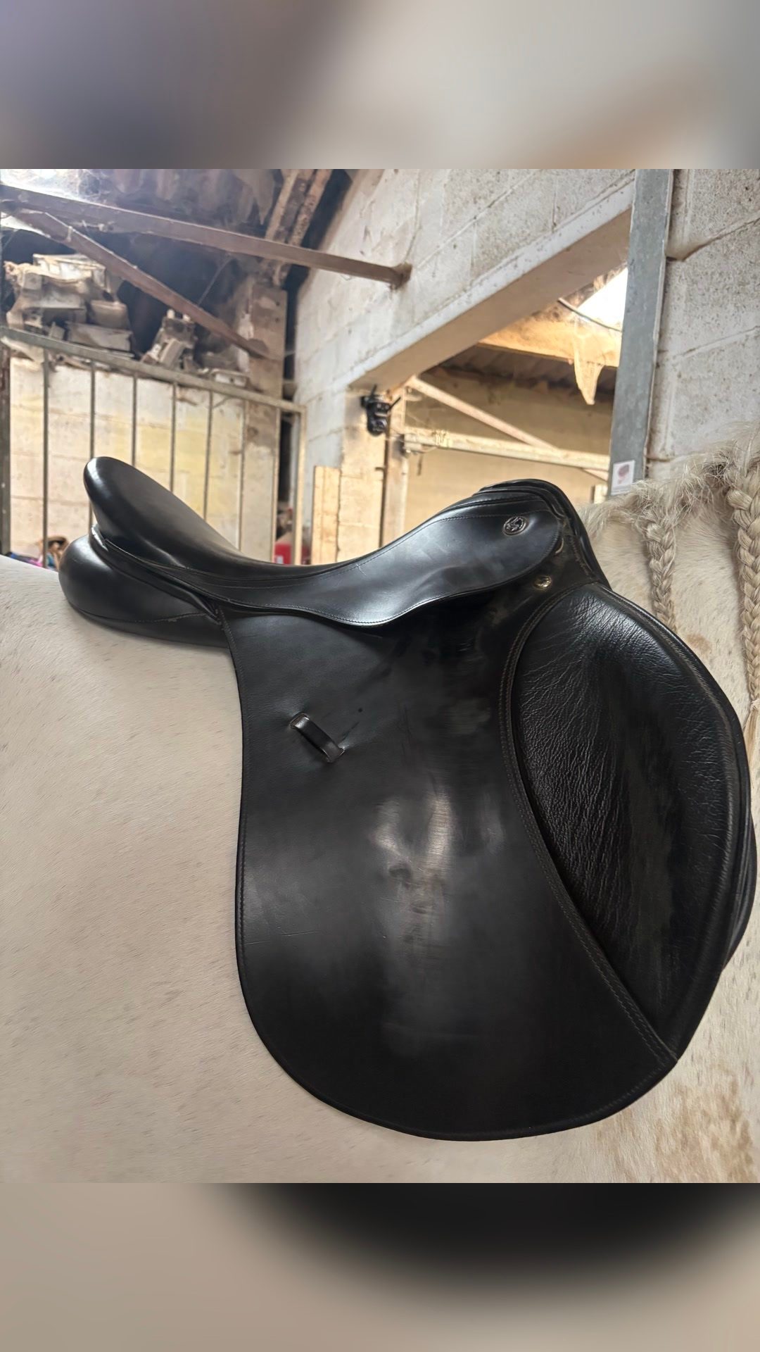 Selle, média 2