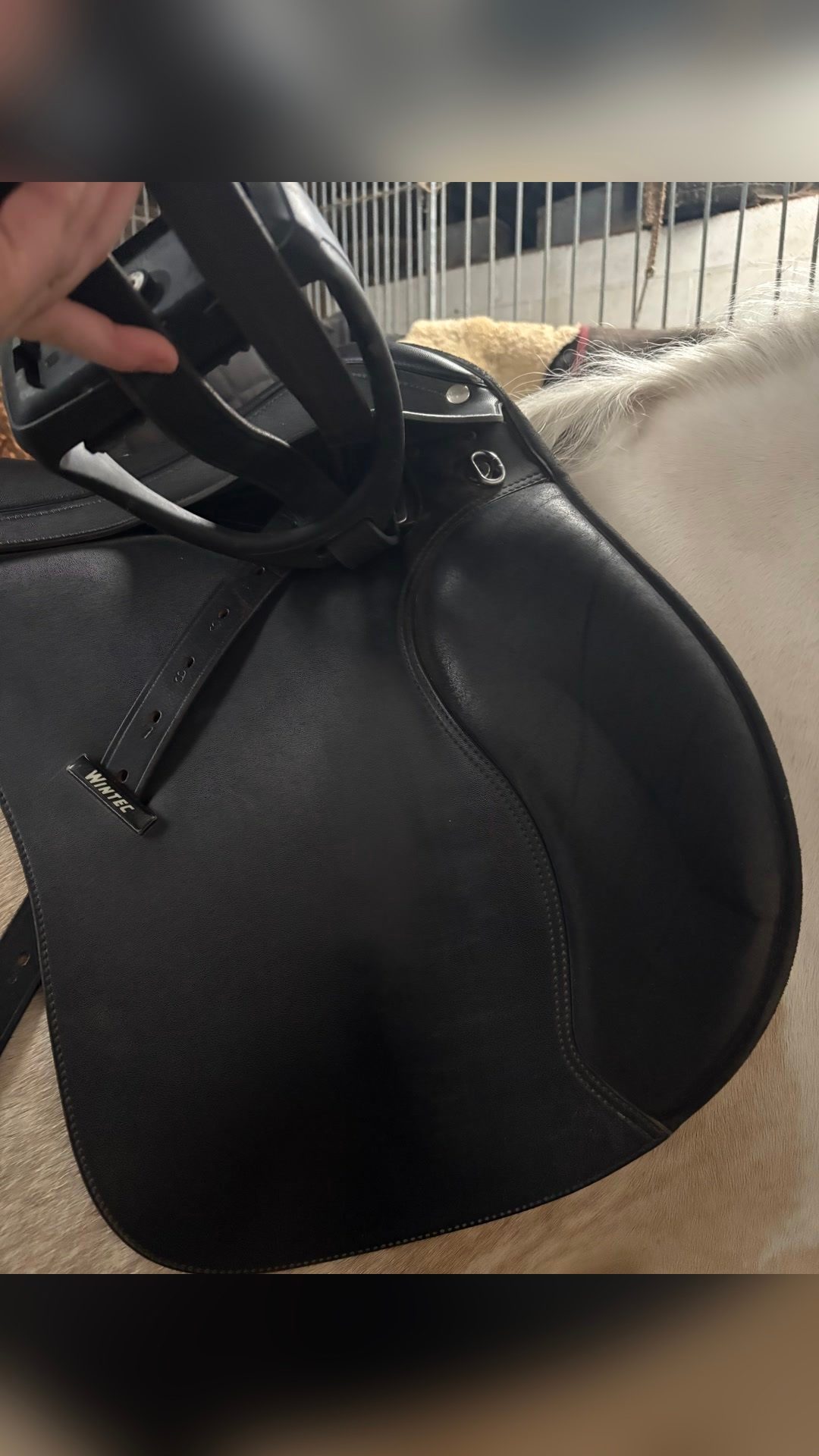 Selle, média 3