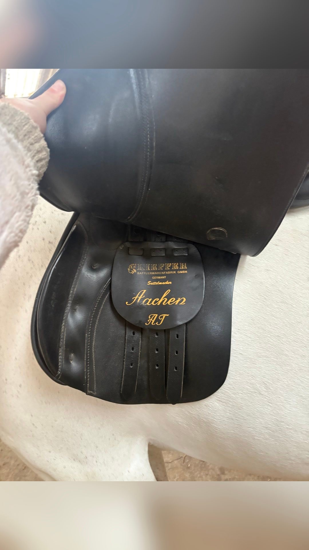 Selle, média 6