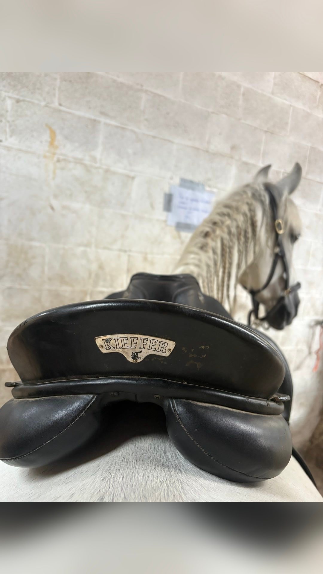 Selle, média 5