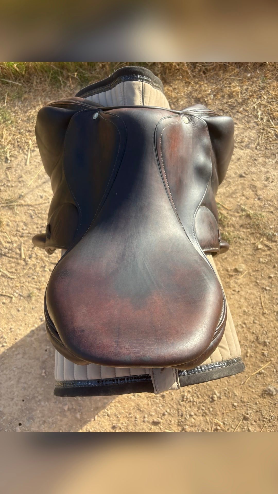 Selle Devoucoux, média 3