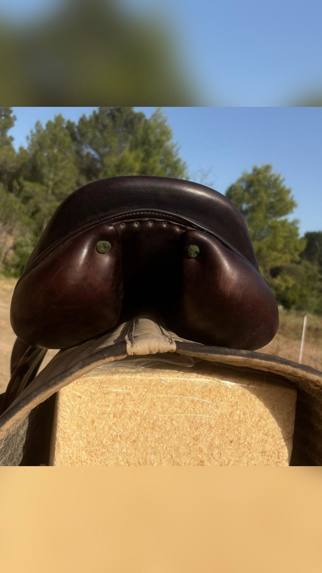Selle Devoucoux, média 5