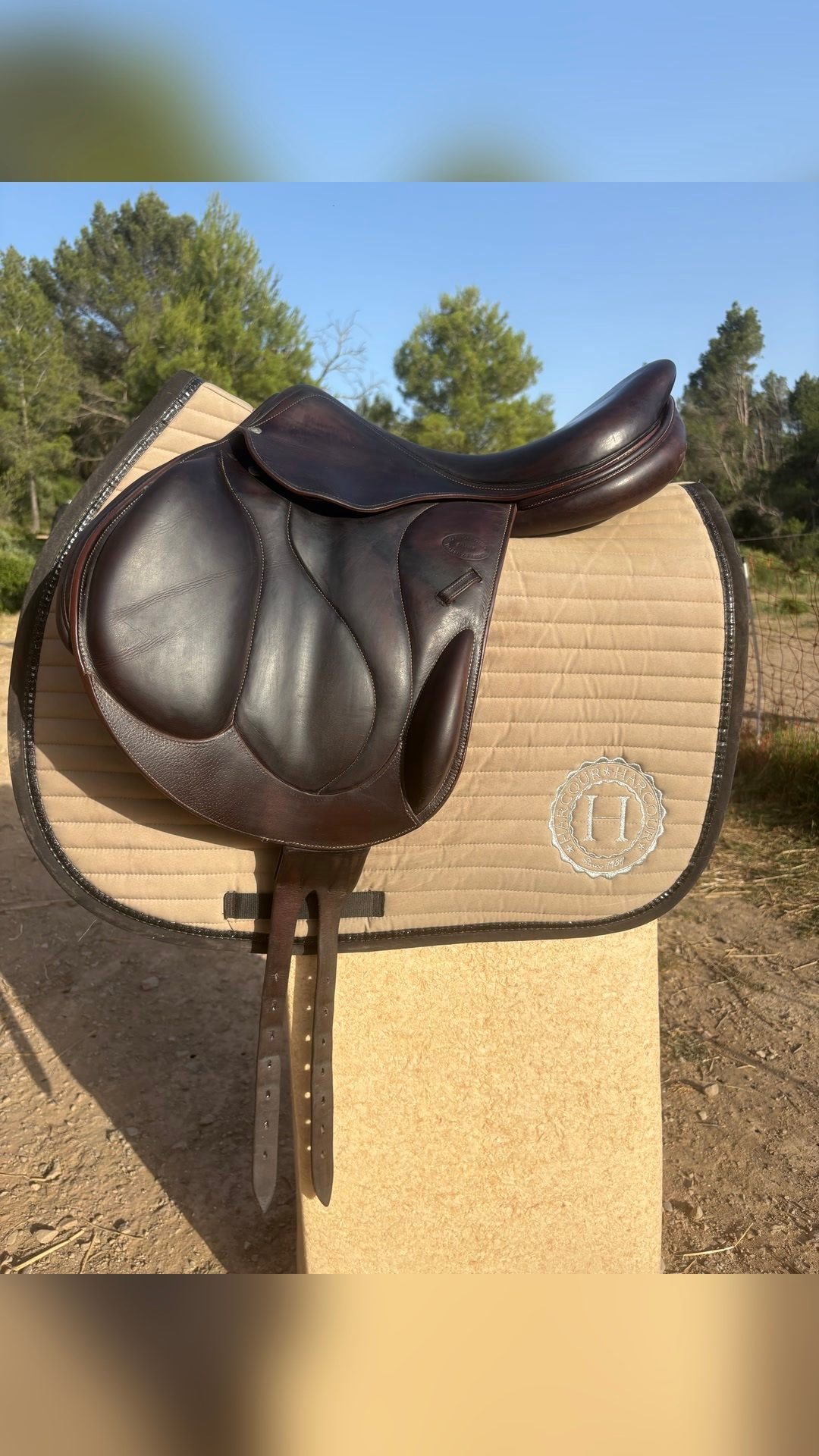 Selle Devoucoux, média 2