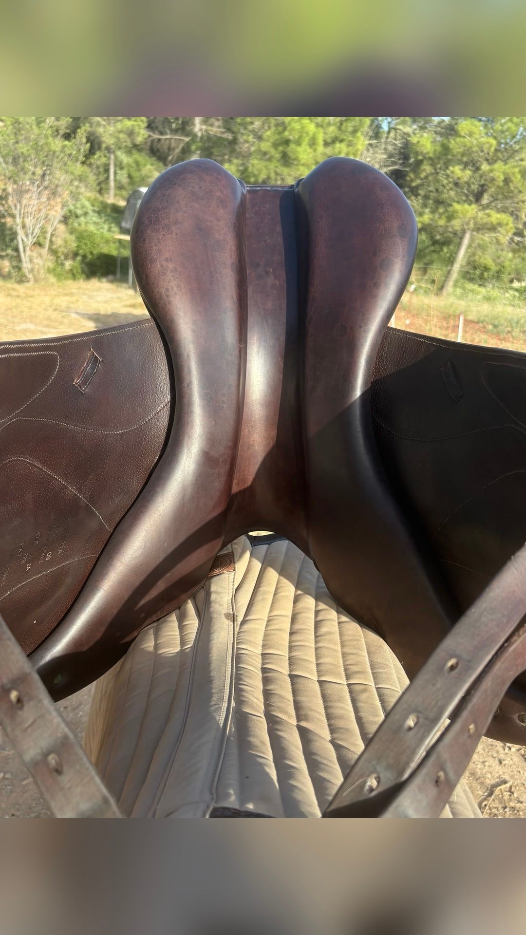 Selle Devoucoux, média 6