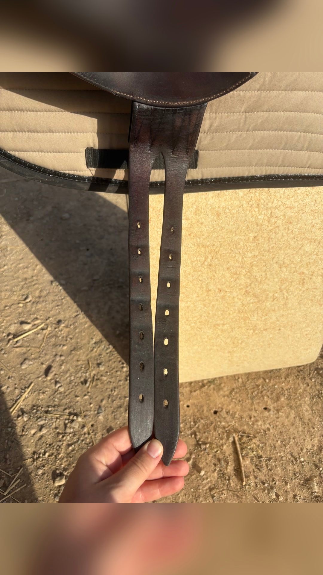 Selle Devoucoux, média 4