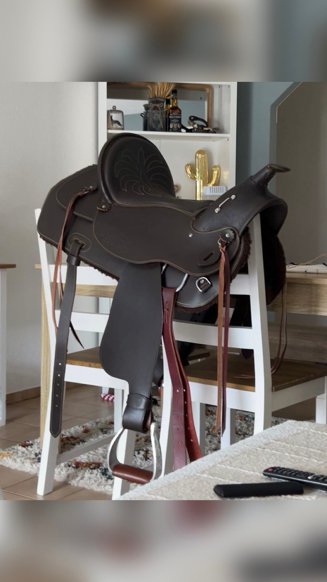 Selle Western + accessoires, média 2
