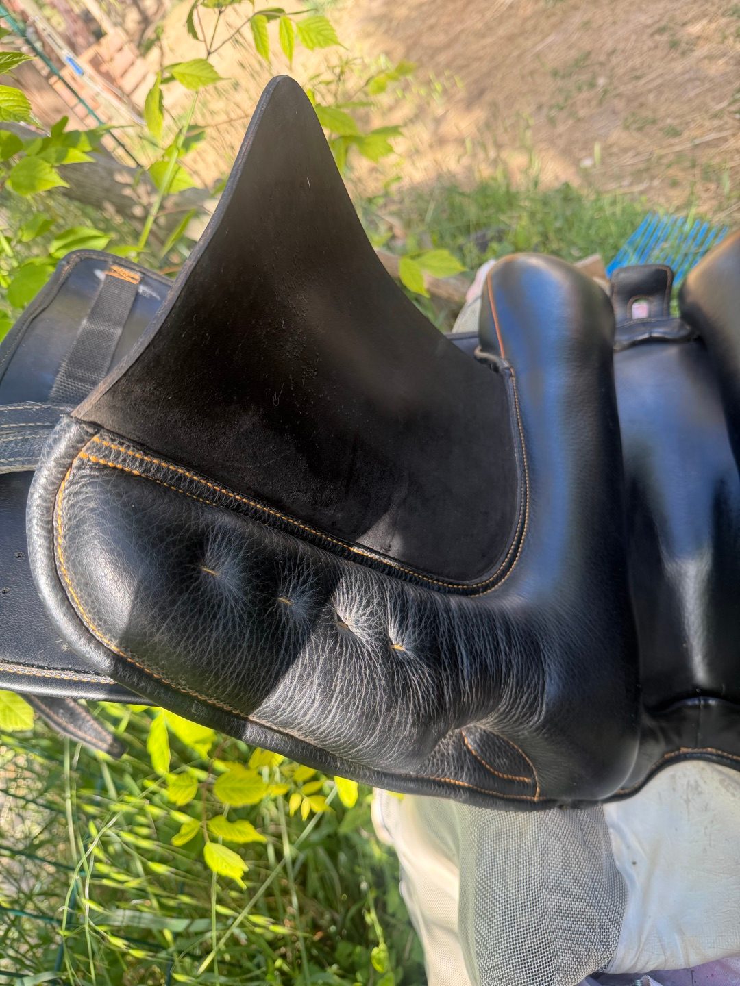 Selle zaldi, média 5