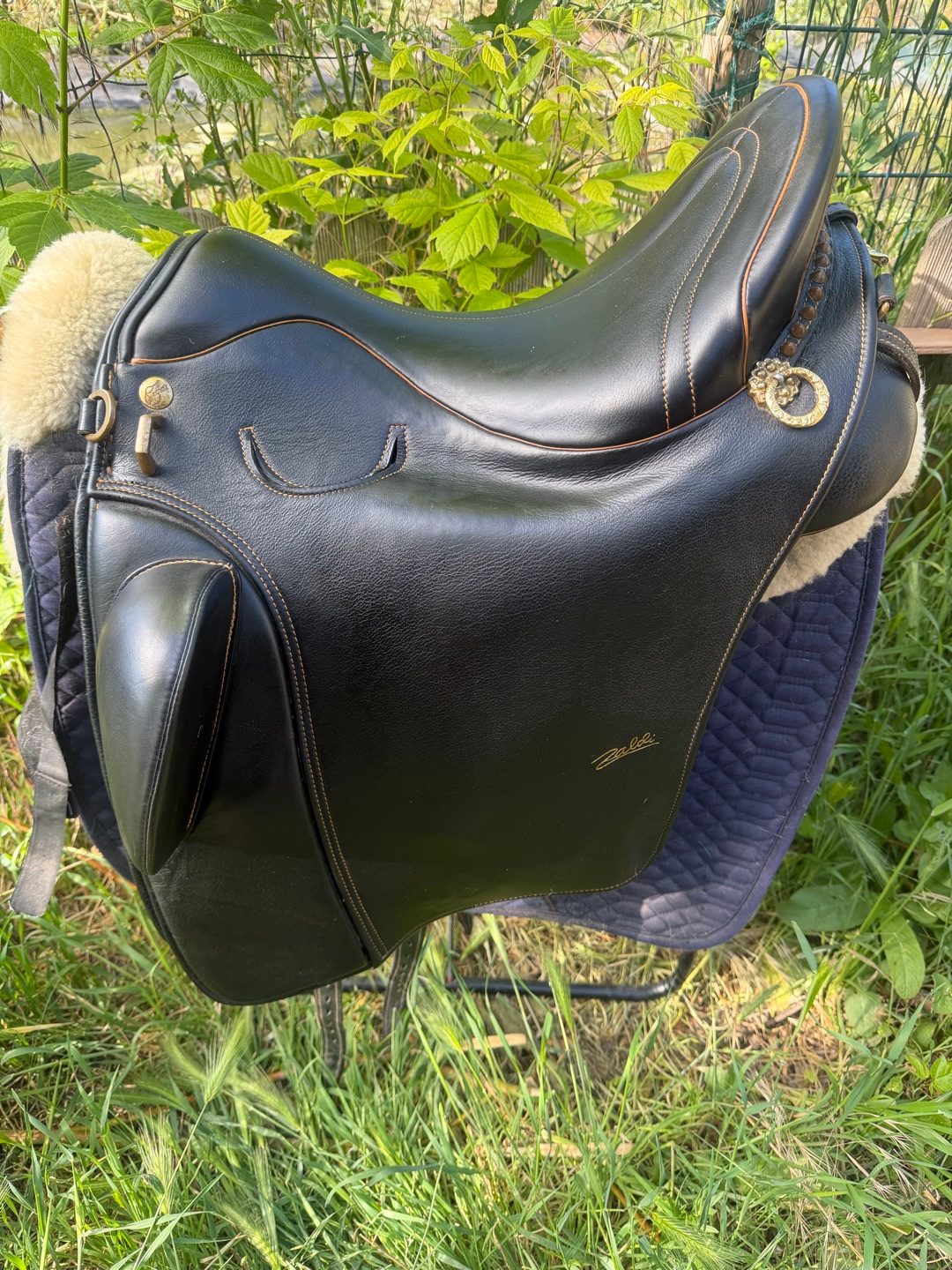 Selle zaldi, média 10