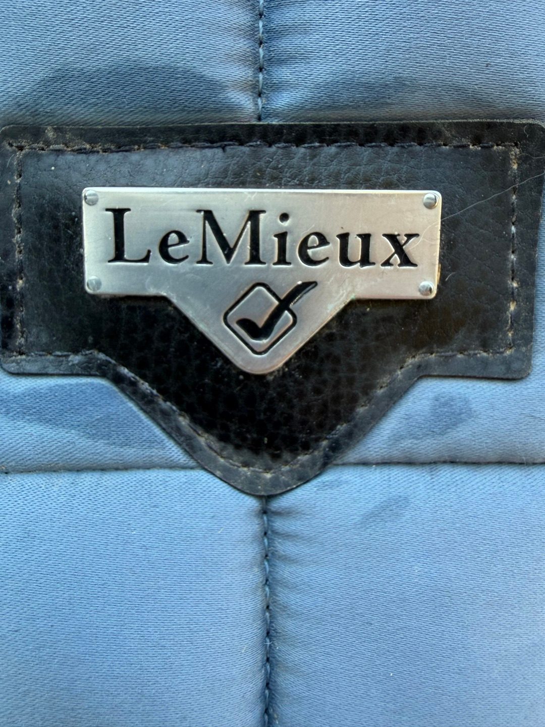 Tapis Lemieux Loire, média 3