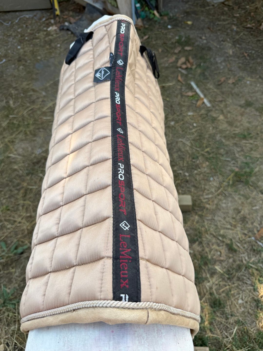 Tapis dressage lemieux Loire, média 3