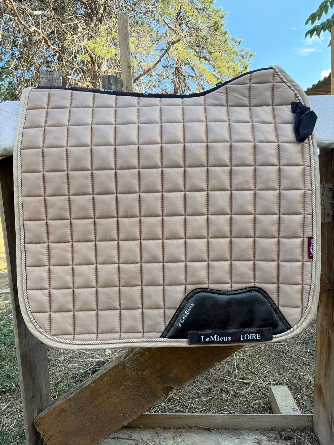 Tapis dressage lemieux Loire, média 4