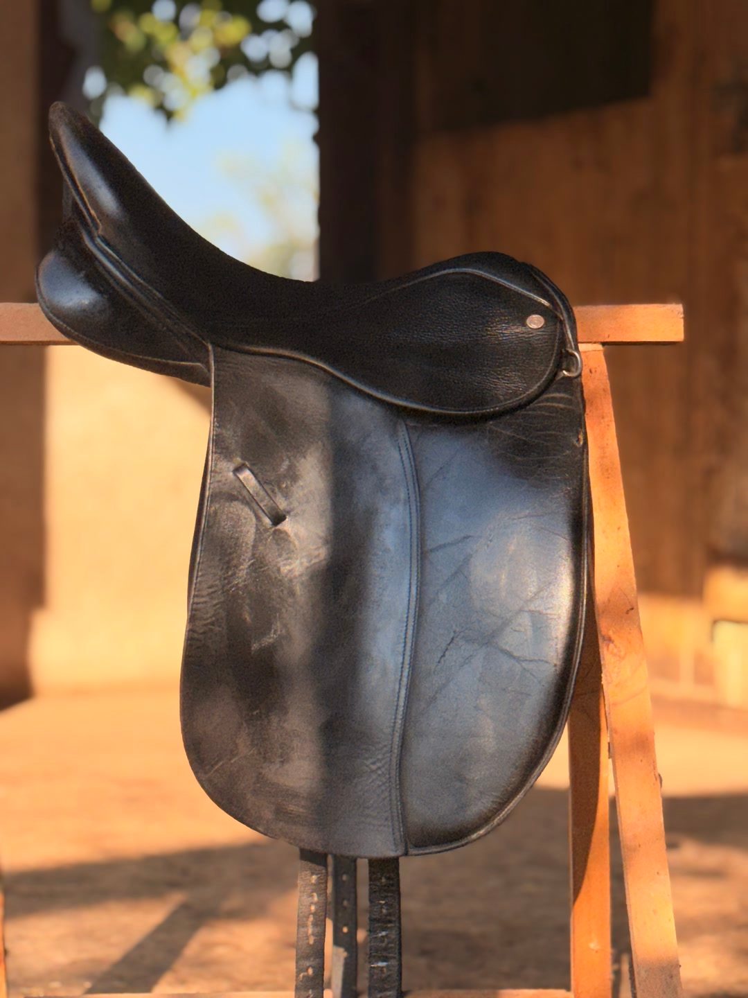 Selle de dressage, média 2