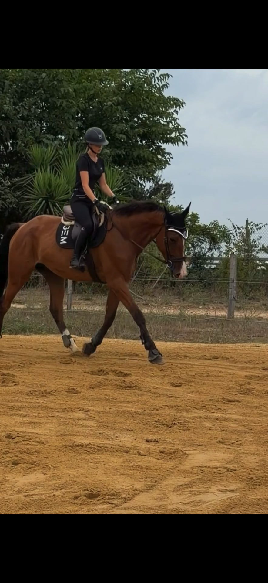 Cavalière, média 2
