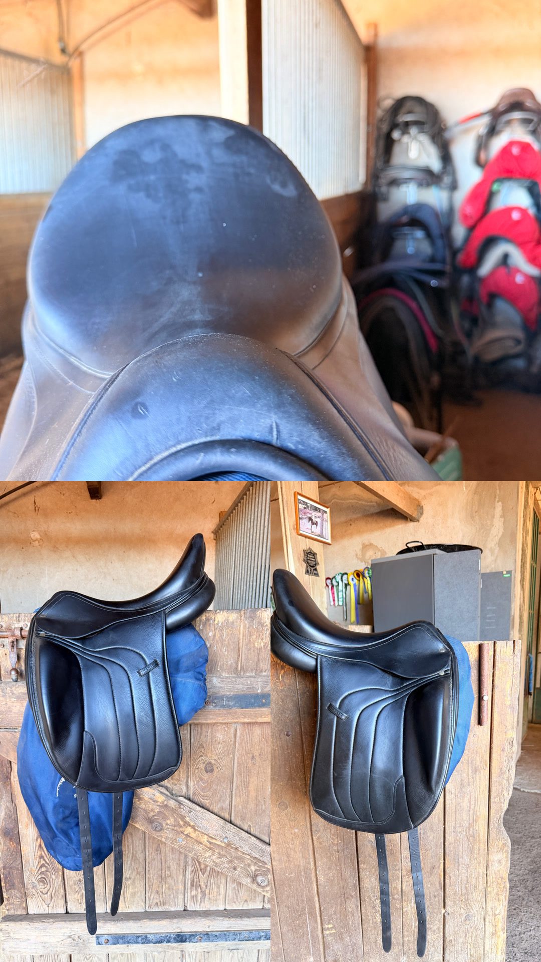 Selle de dressage Antarès, média 3
