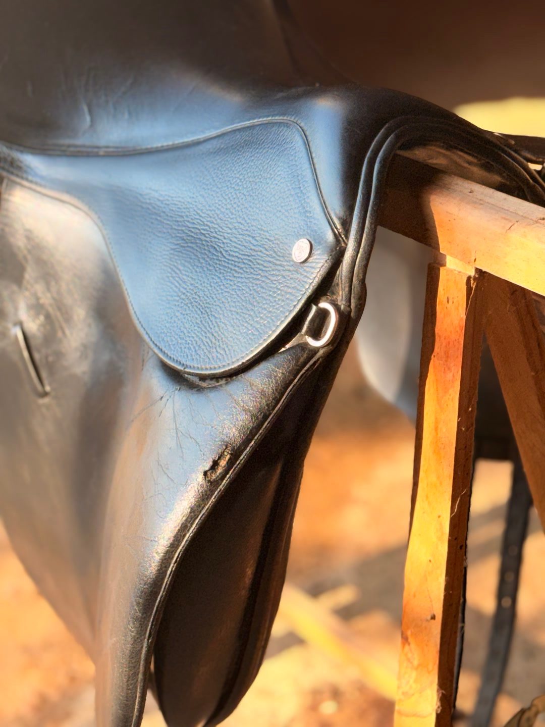 Selle de dressage, média 3