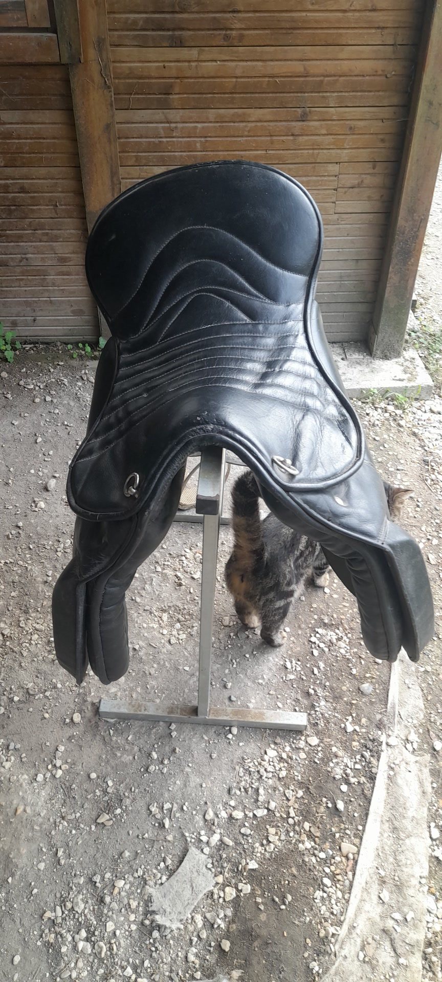 Selle, média 4
