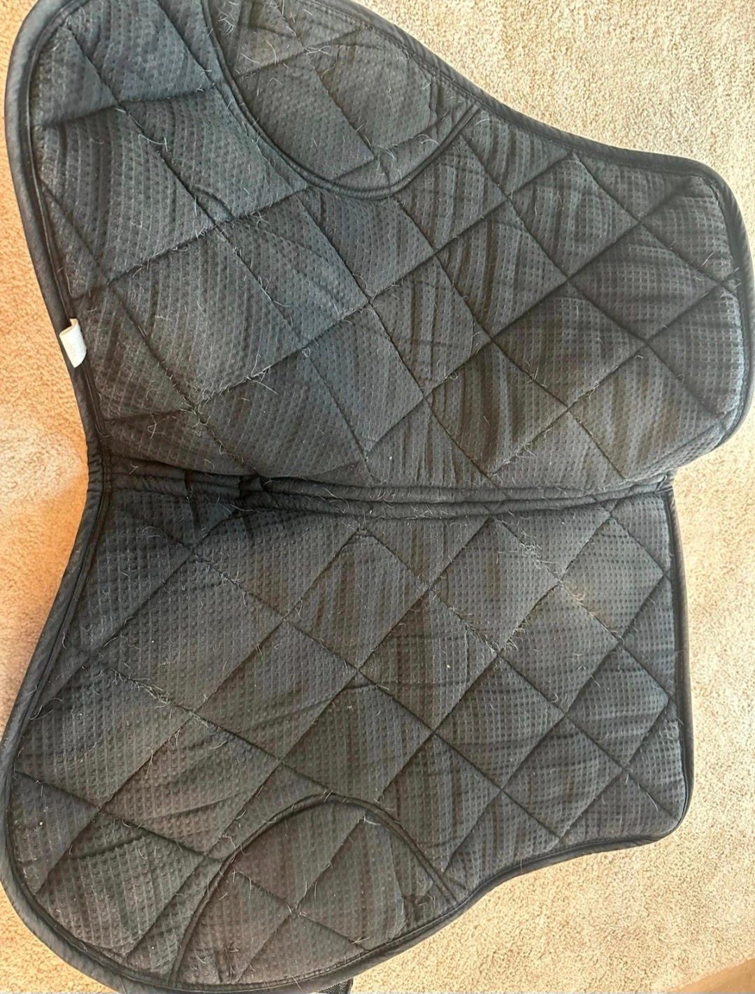 Tapis équitheme, média 4
