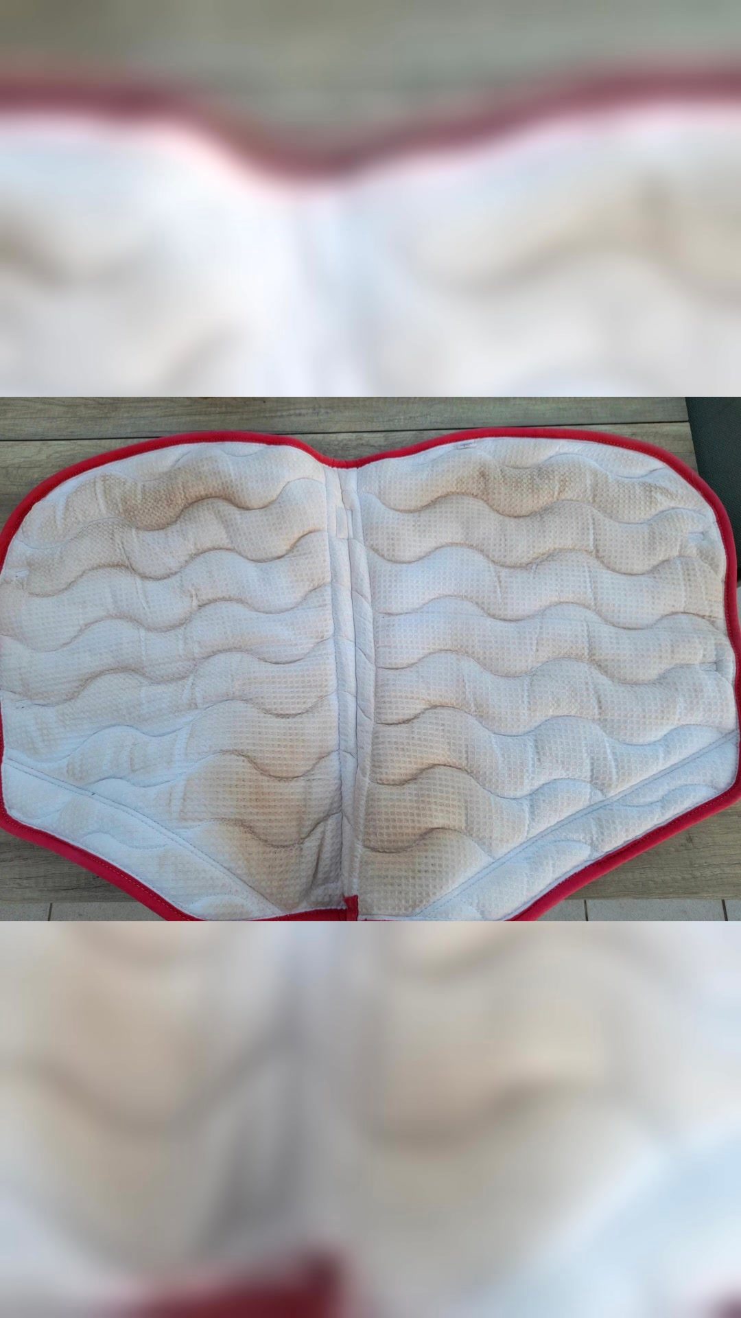 Tapis équithème, média 2