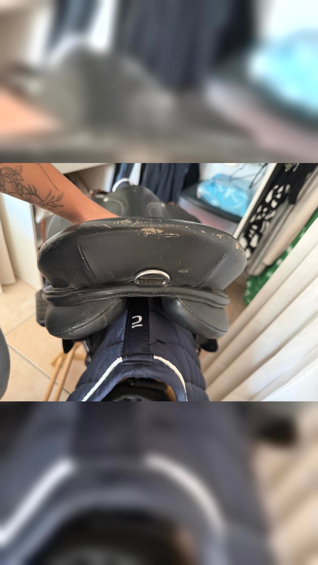 Selle, média 6