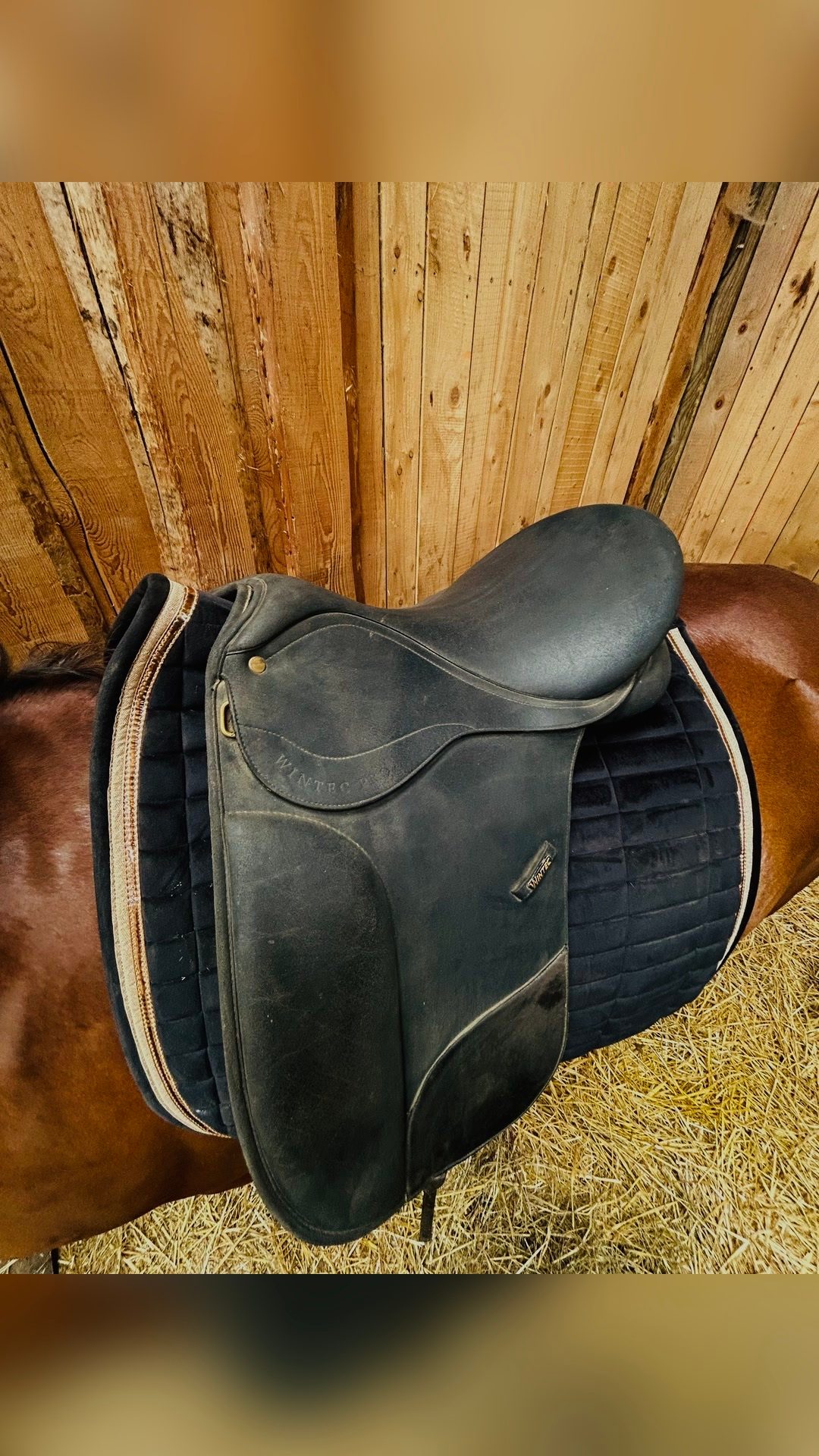 Selle dressage, média 2