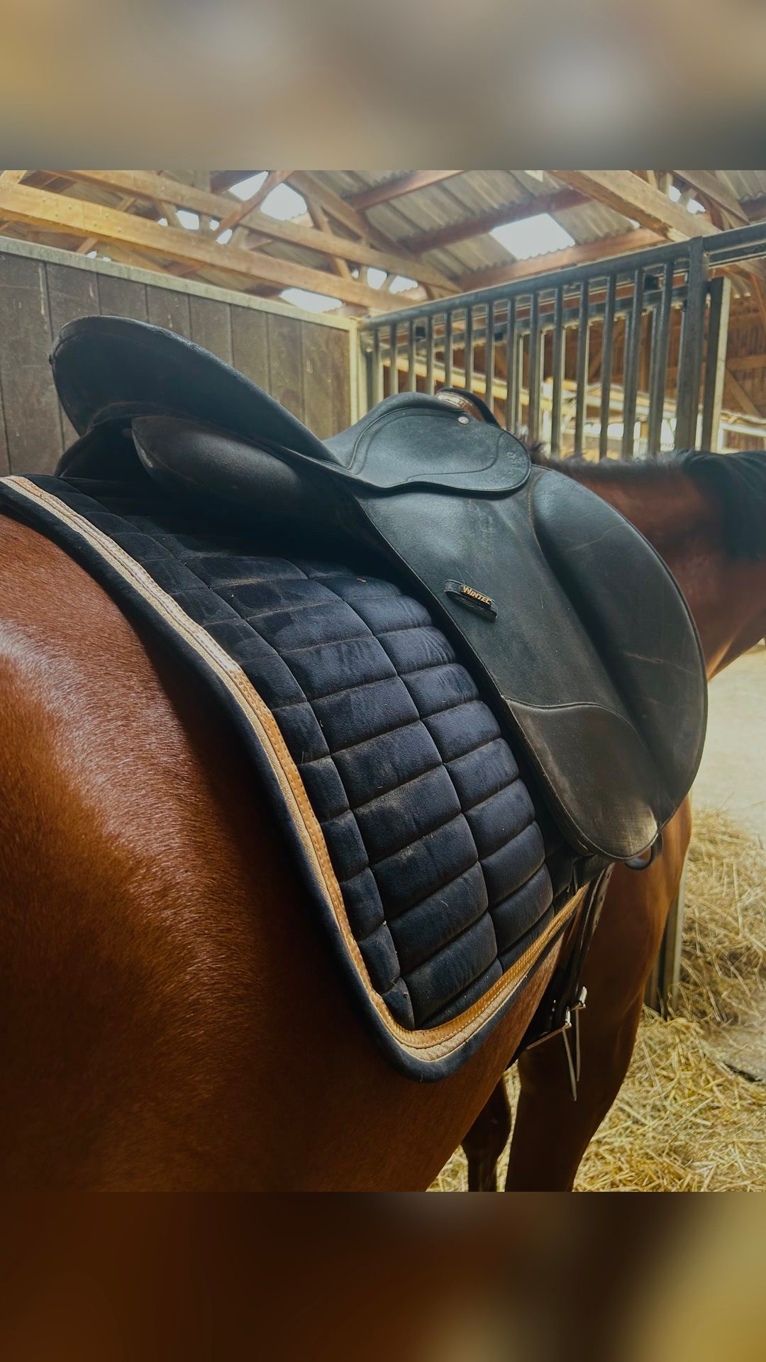 Selle dressage, média 4