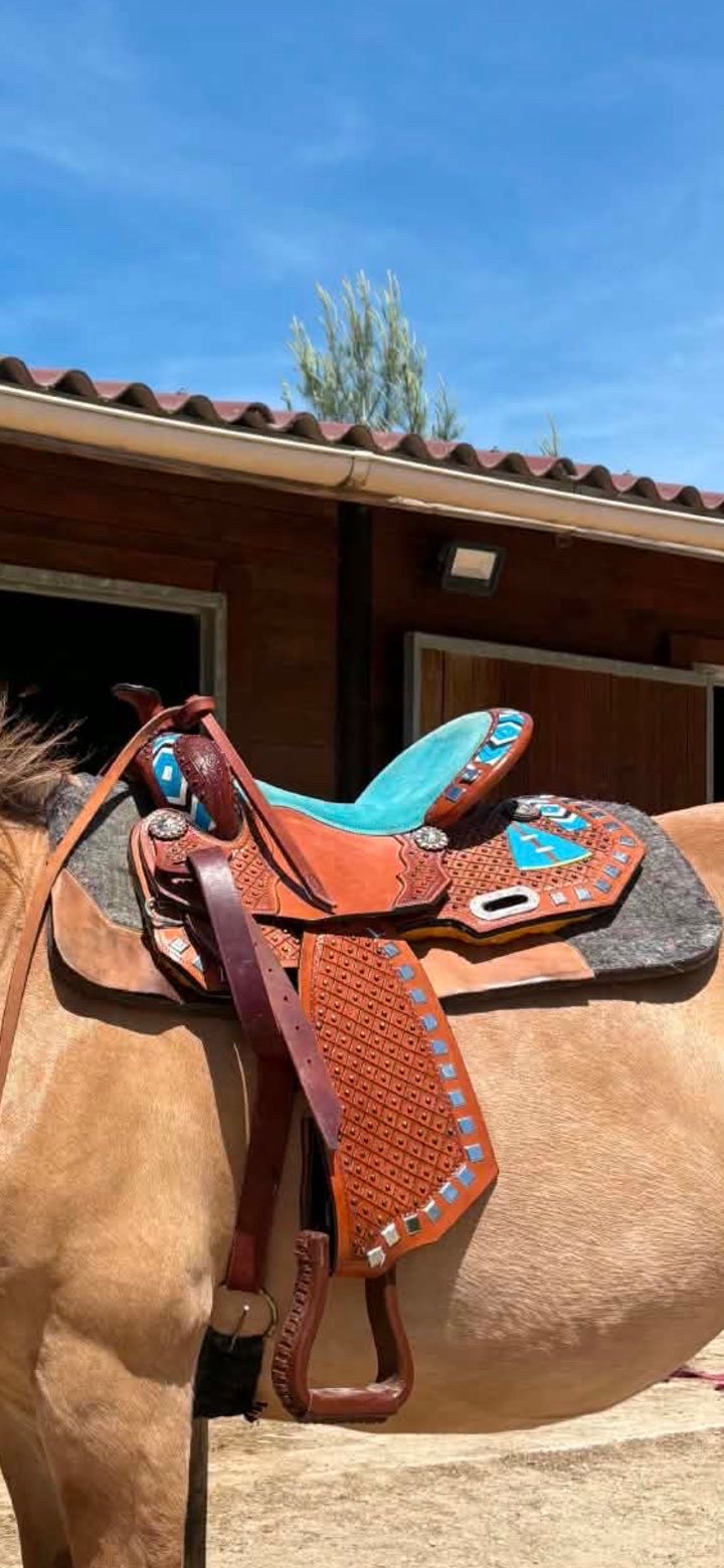 Selle western, média 2