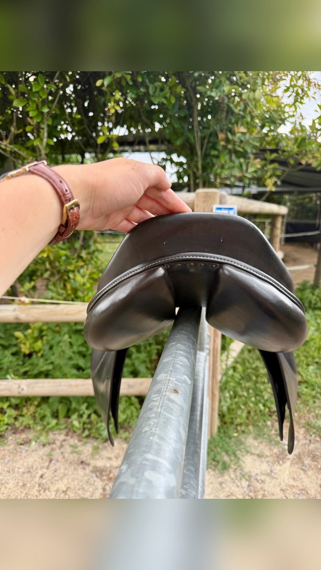 Selle, média 2